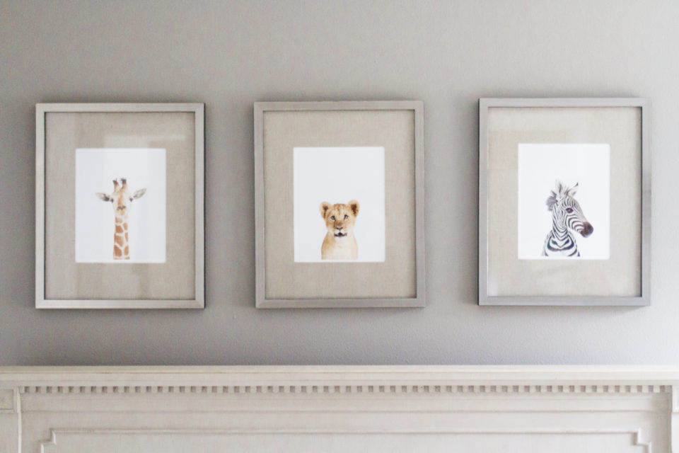  Baby animal prints hung on the wall in Seattle newborn nursery photography 