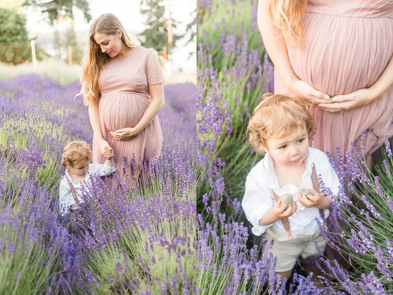 The little boy roams curiously around Lavender Hill Farm as he holds his mothers hand