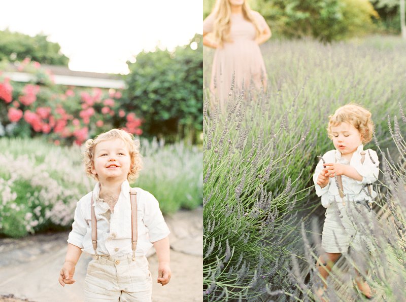 A little one covered in dirt plays in the lavender field with his pregnant mother