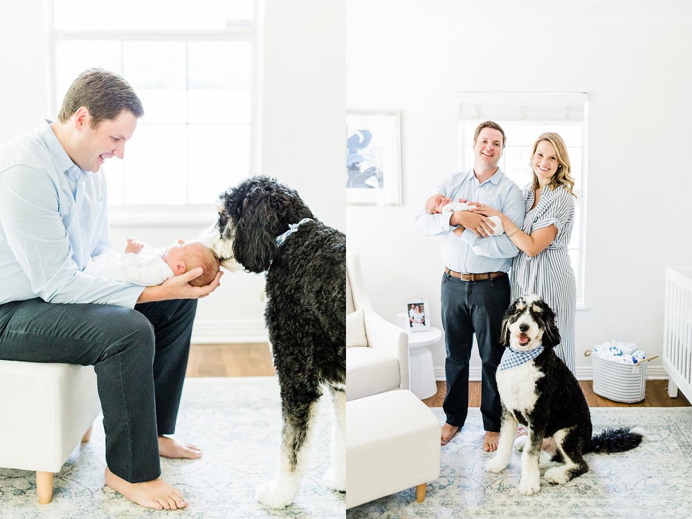 In-home family newborn session with pet dog